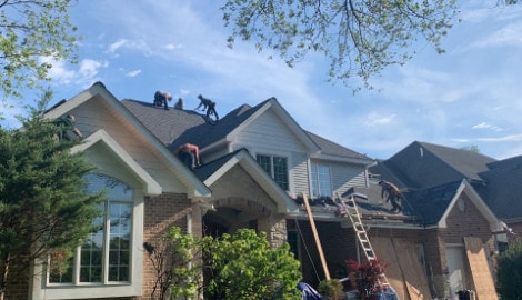 Shingle roof replacement in Willowbrook project photo 4