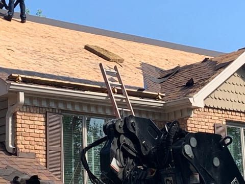 Shingle roofing replacement after hail damage in Naperville project photo 4